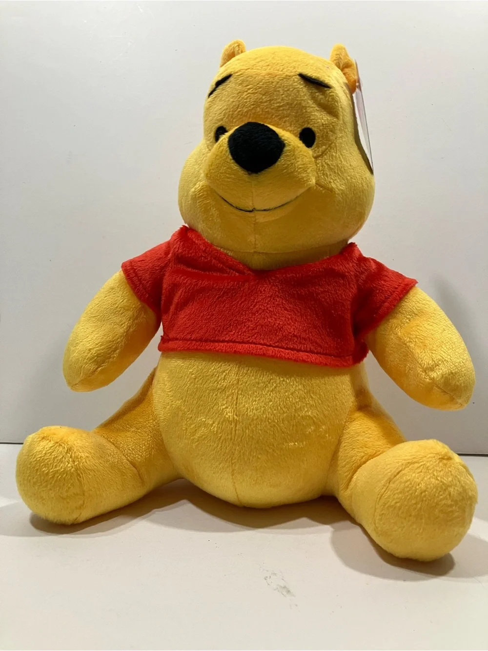 Winnie the Pooh Plush NEW